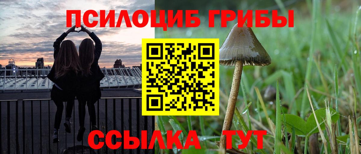 Звенигород  где продают   Вход с VPN  Галлюциногенные грибы Cubensis 